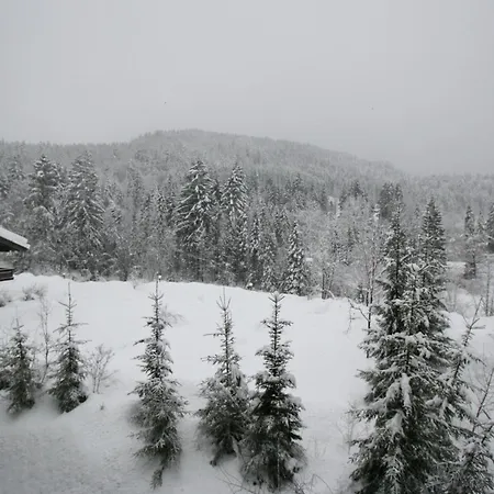Alpendohle Апартаменты Райт-им-Винкль